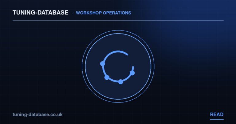 White-Label Your Chiptuning Portal in 5 Minutes: Logo, Colour, Domain, Email, Certificate